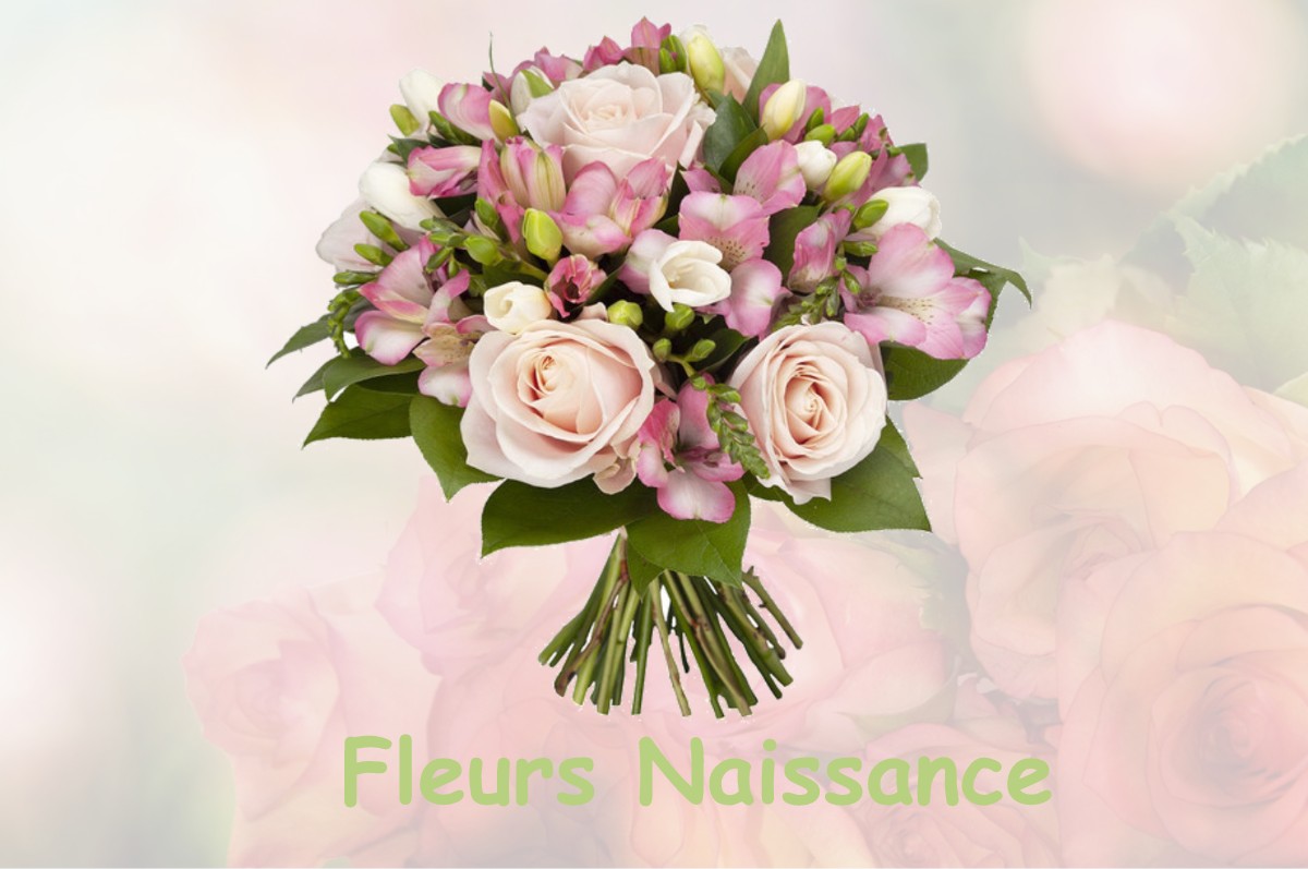 fleurs naissance BASCONS